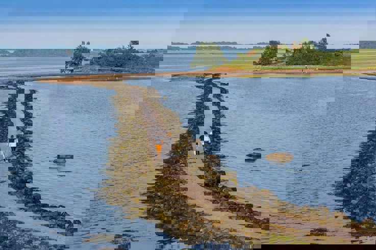 Couple walking to Rough Island, Strangford